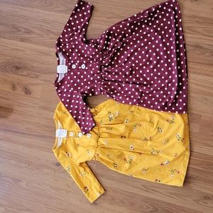 2 toddler dresses